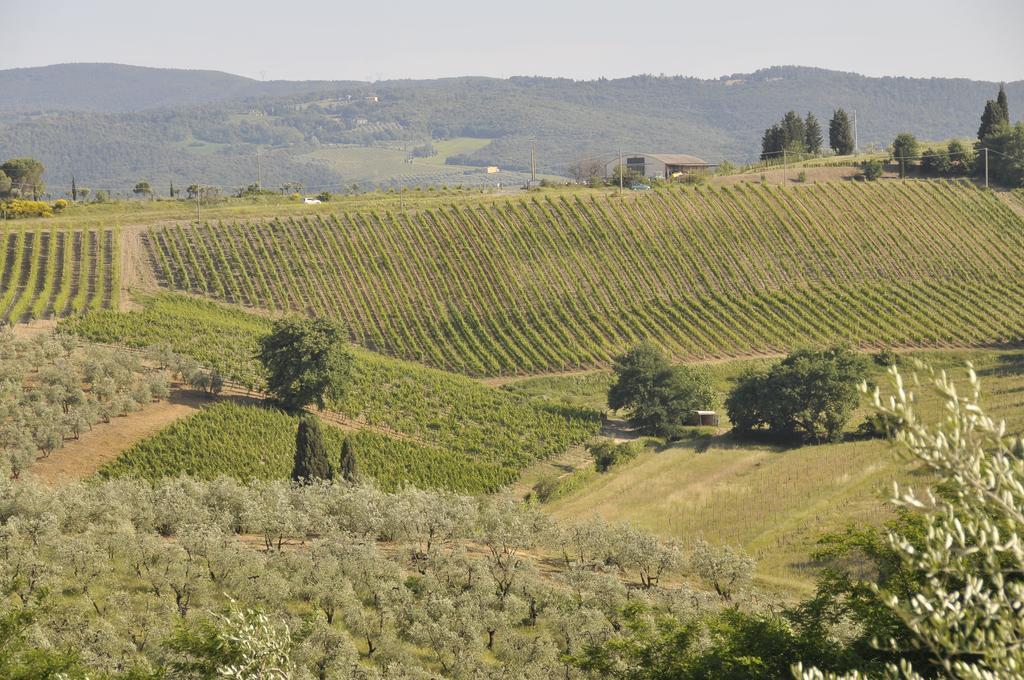 Agriturismo Renai E Monte II Gambassi Terme Exteriér fotografie